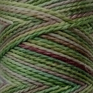 Silk 20/2Nm Mini Spool - Spring Meadow - SIT-05